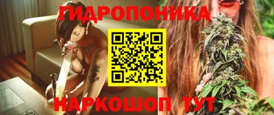 молекула духа Тверь