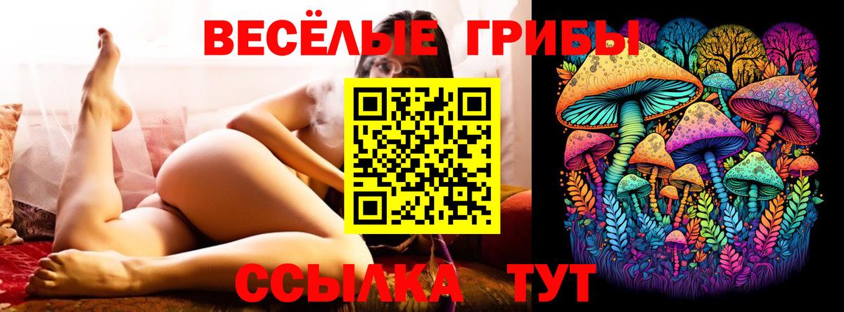 Псилоцибиновые грибы Psilocybine cubensis Муравленко