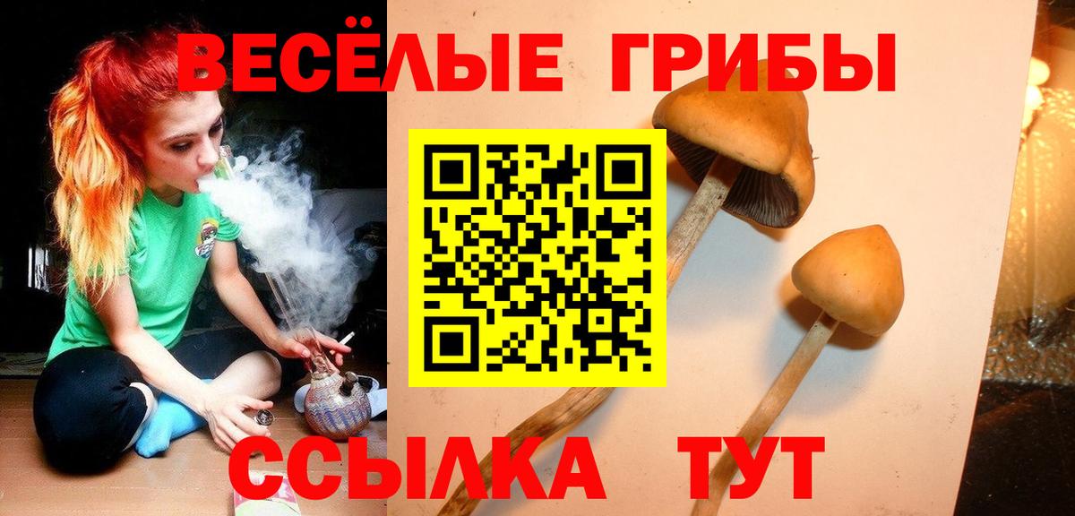 Муравленко  продажа наркотиков  Вход с VPN  Псилоцибиновые грибы Magic Shrooms 